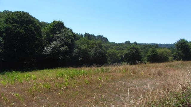 2 bedroom Finca/Country House for sale in Carballedo with garage - € 80,000 (Ref: 10019866)