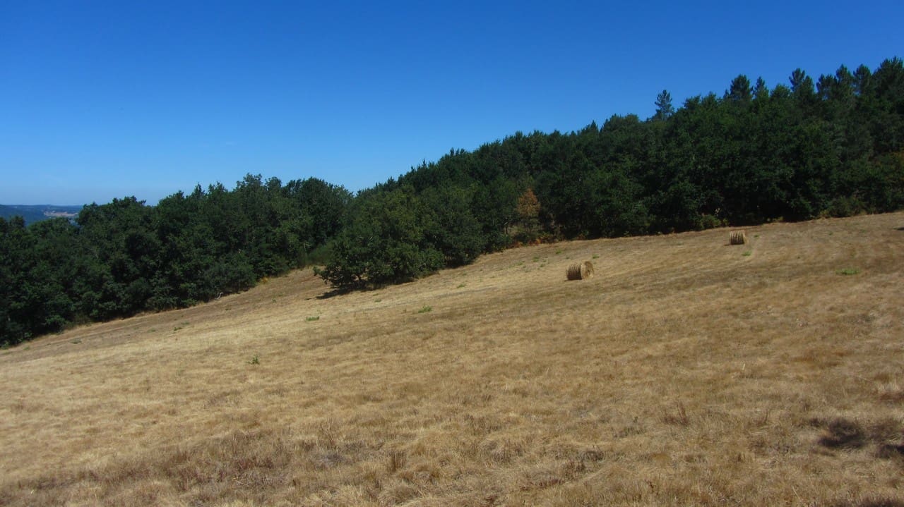6 bedroom Finca/Country House for sale in Panton with garage - € 180,000 (Ref: 10098759)