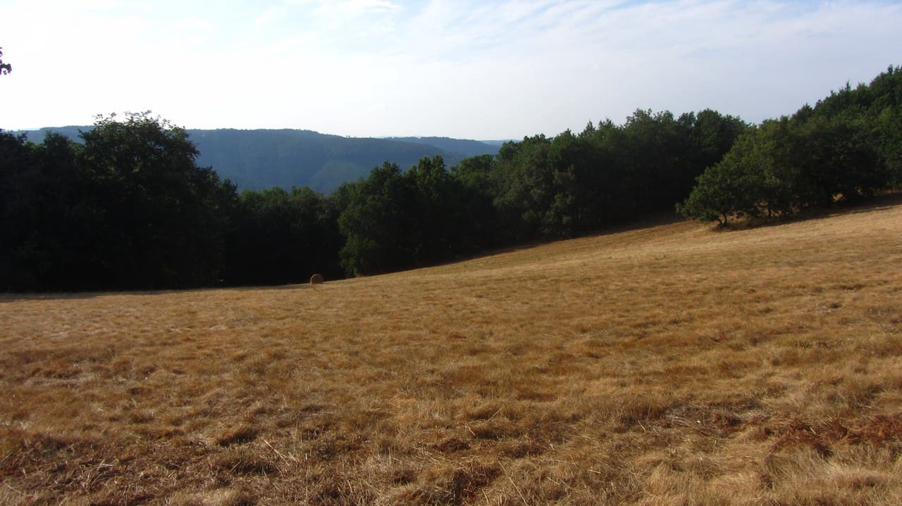 6 bedroom Finca/Country House for sale in Panton with garage - € 180,000 (Ref: 10098759)