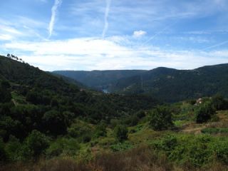 4 slaapkamer Finca/Landhuis te koop in Pantón - € 28.000 (Ref: 2374940)