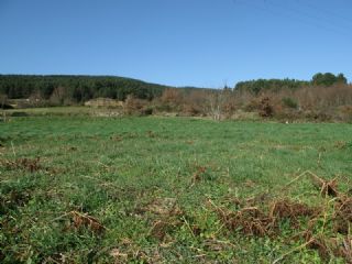 3 soveværelse Finca/Landehus til salg i Panton - € 48.000 (Ref: 2589942)