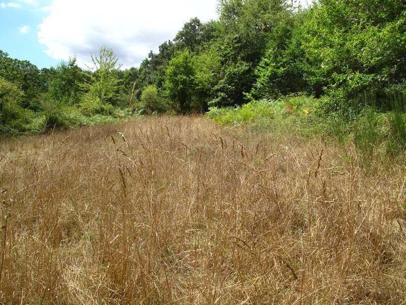 4 bedroom Finca/Country House for sale in Panton - € 36,000 (Ref: 2697983)