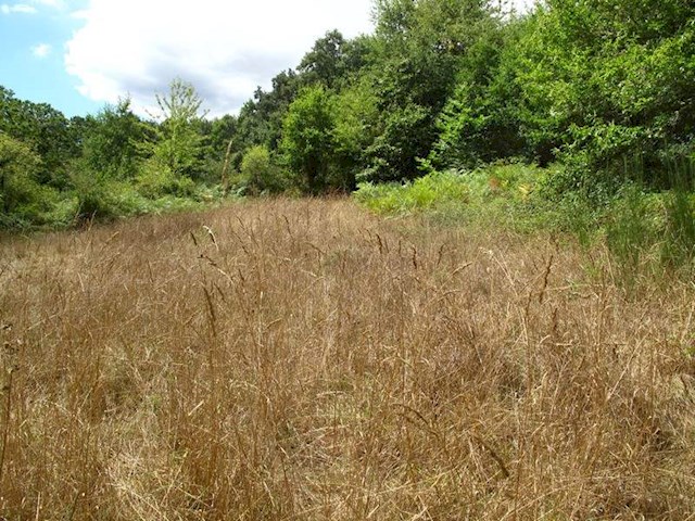 4 bedroom Finca/Country House for sale in Pantón - € 36,000 (Ref: 2697983)