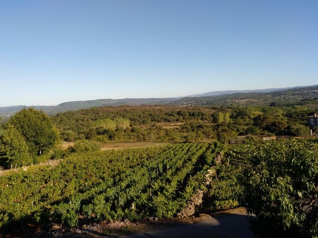 4 bedroom Finca/Country House for sale in Pantón with garage - € 85,000 (Ref: 4157303)