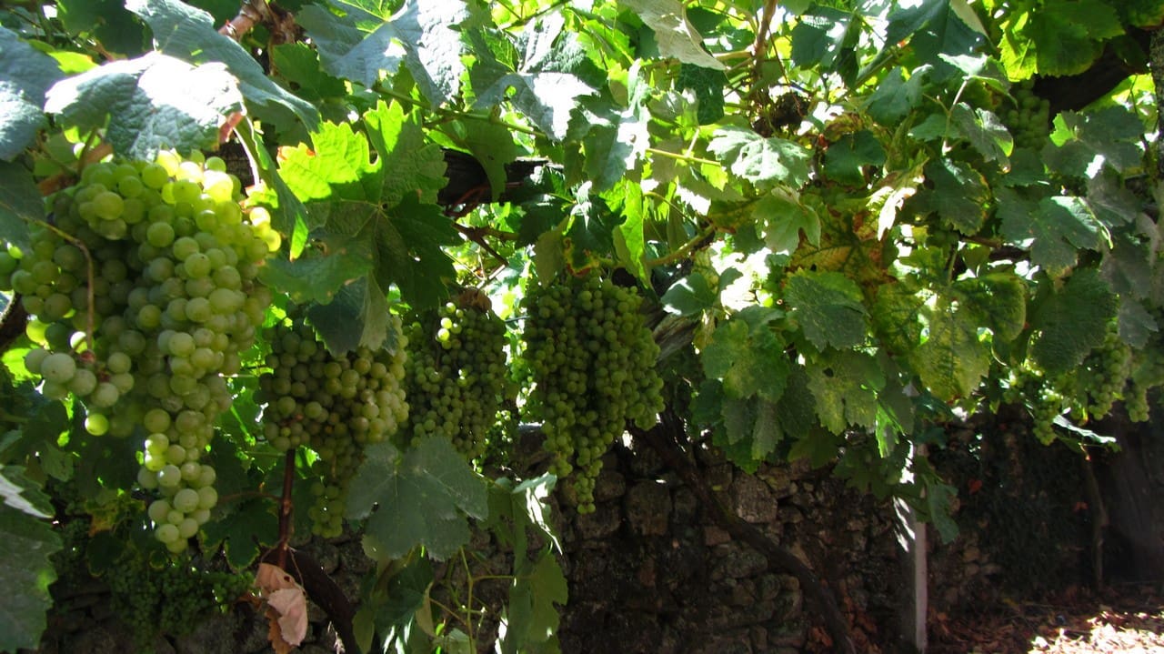 3 soveværelse Finca/Landehus til salg i Sober - € 75.000 (Ref: 4831778)