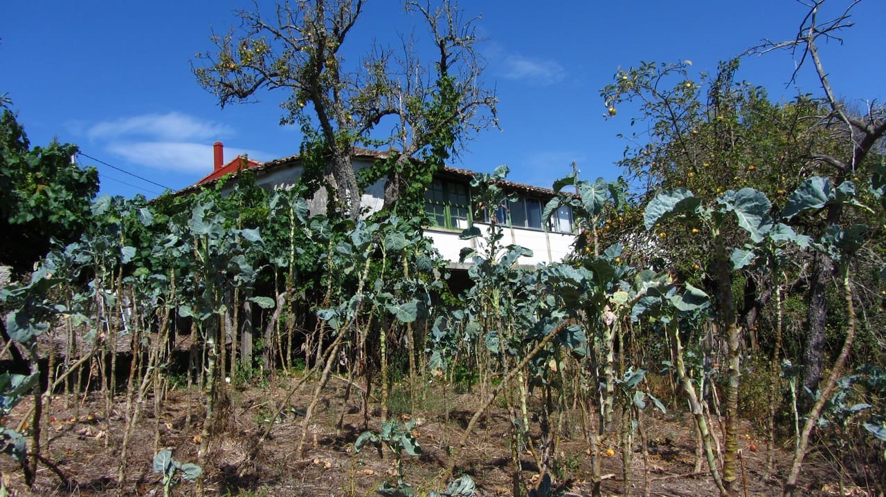 3 soveværelse Finca/Landehus til salg i Sober - € 75.000 (Ref: 4831778)