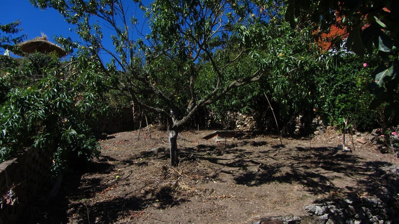 4 soveværelse Finca/Landehus til salg i Panton - € 53.000 (Ref: 4952399)