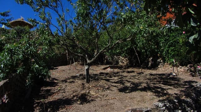 Finca/Casa Rural de 4 habitaciones en Pantón en venta - 53.000 € (Ref: 4952399)