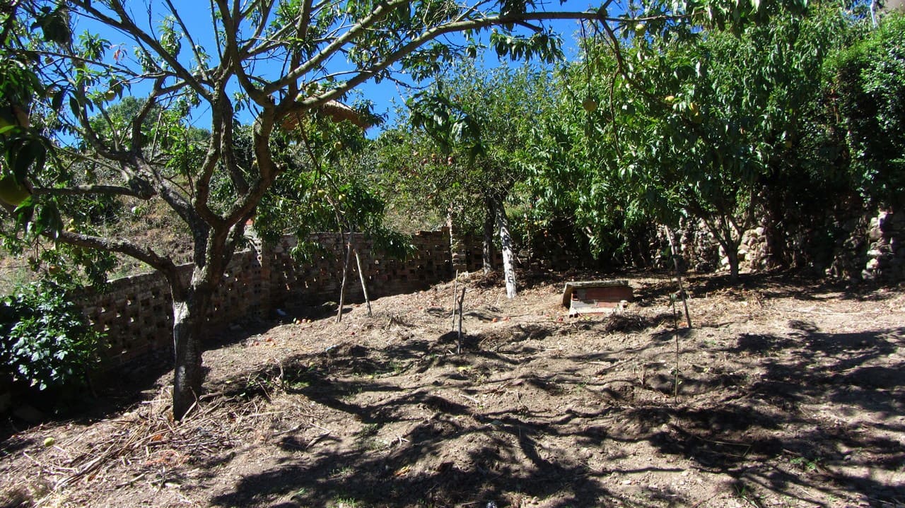 4 soveværelse Finca/Landehus til salg i Panton - € 53.000 (Ref: 4952399)