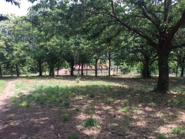 5 bedroom Finca/Country House for sale in Panton with garage - € 499,000 (Ref: 5441495)