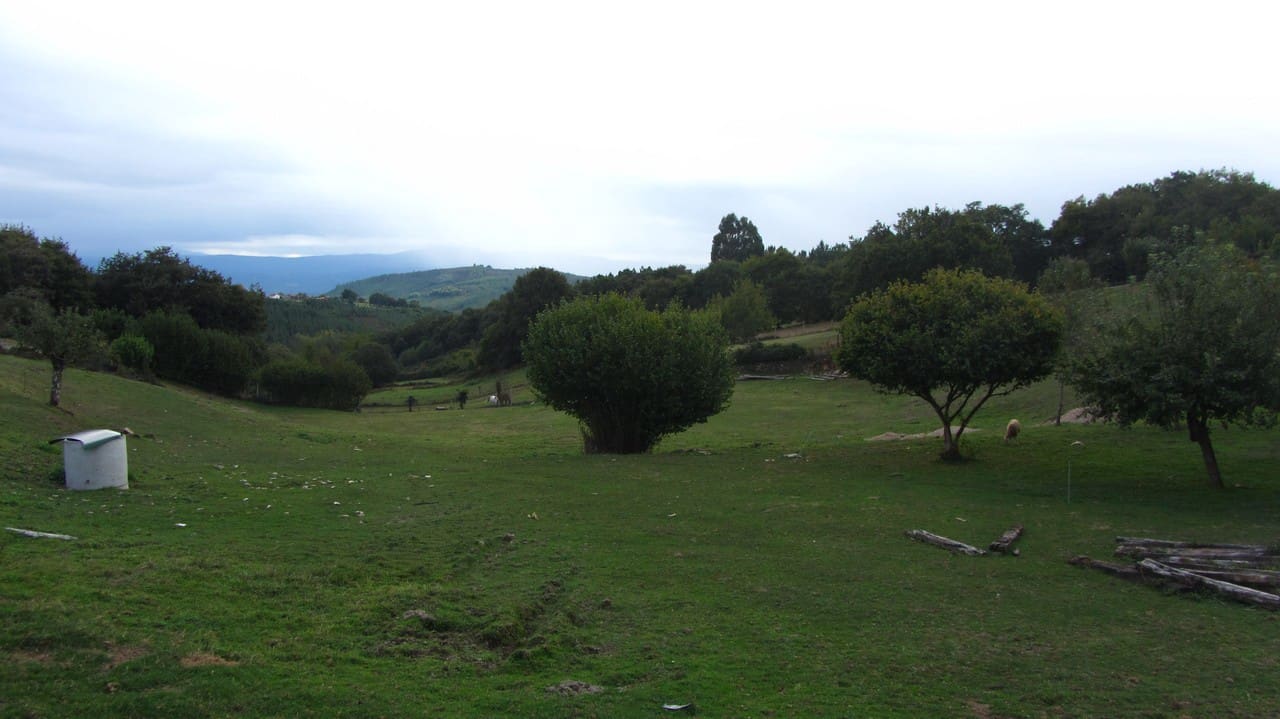 5 bedroom Finca/Country House for sale in Escairon with garage - € 60,000 (Ref: 6428701)