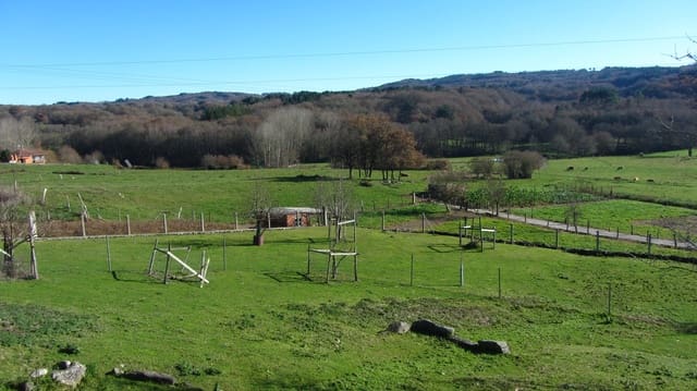 Finca/Casa Rural de 5 habitaciones en Escairón, O Saviñao en venta - 89.000 € (Ref: 6533298)