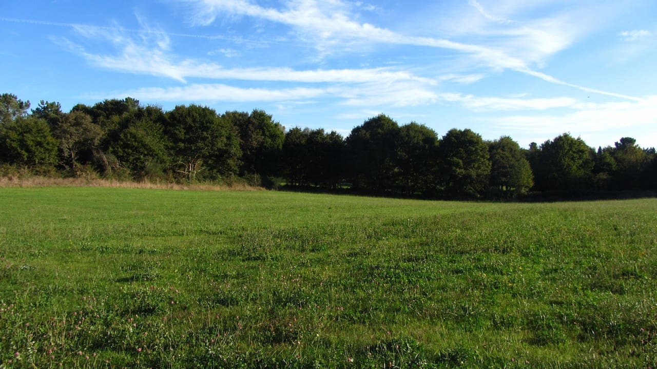 3 soveværelse Finca/Landehus til salg i Escairon - € 200.000 (Ref: 6545735)