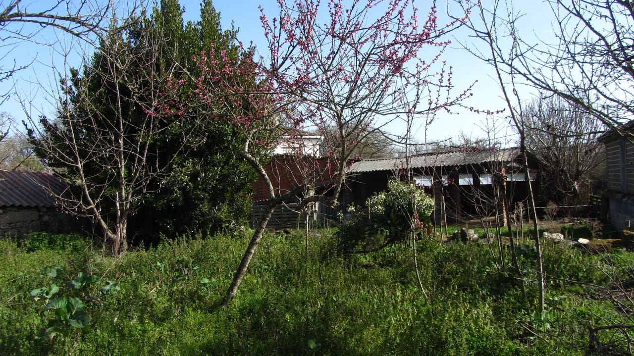 3 slaapkamer Finca/Landhuis te koop in Escairon - € 15.000 (Ref: 6746366)