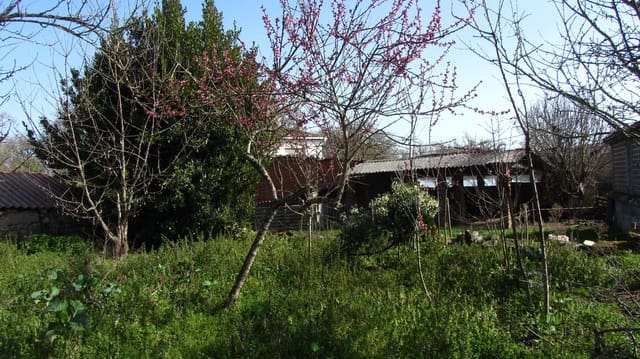 3 soveværelse Finca/Landehus til salg i Escairón, O Saviñao - € 15.000 (Ref: 6746366)