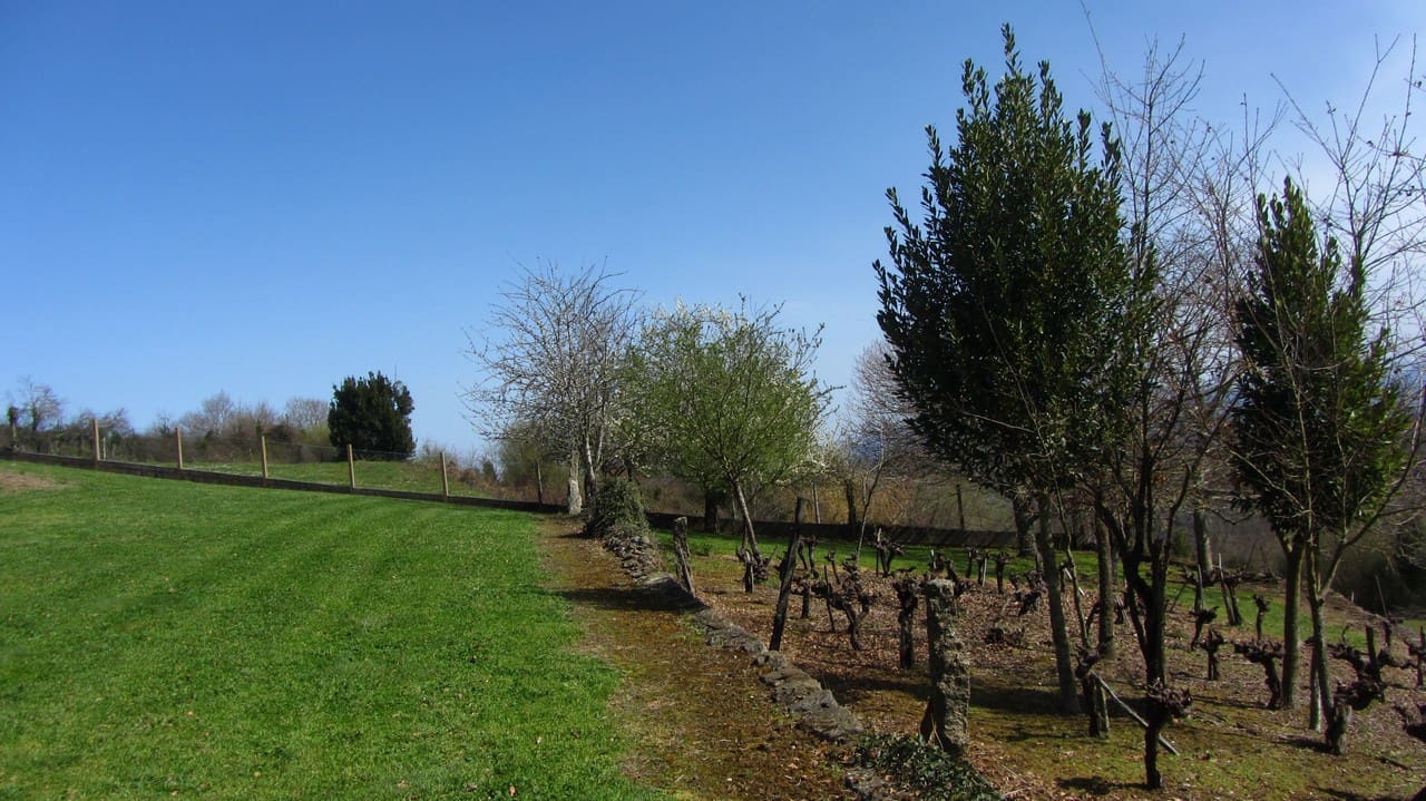 6 sypialnia Finka/Dom wiejski na sprzedaż w Ferreira de Panton z garażem - 125 000 € (Ref: 6774462)