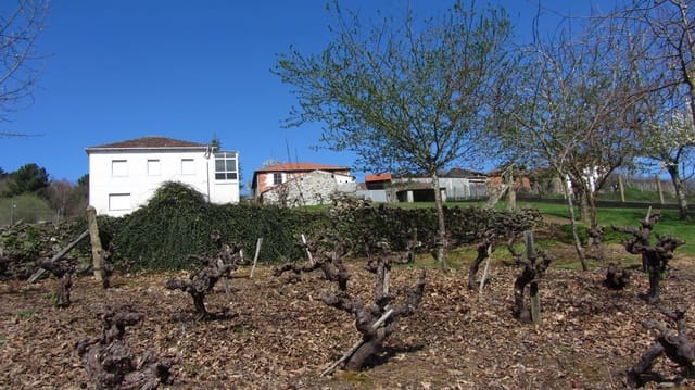 6 sypialnia Finka/Dom wiejski na sprzedaż w Ferreira de Panton, Pantón z garażem - 125 000 € (Ref: 6774462)