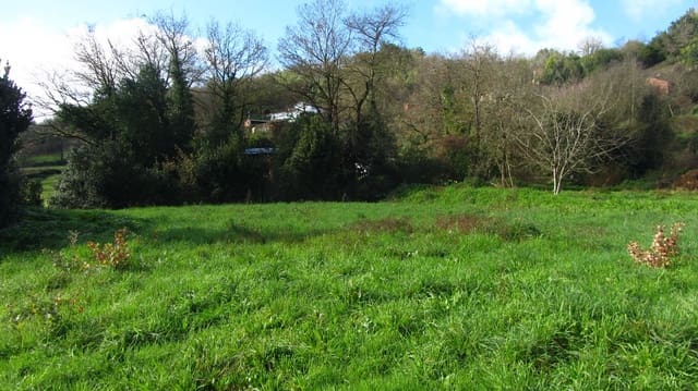 2 sovrum Finca/Hus på landet till salu i Monforte de Lemos - 35 000 € (Ref: 7326993)