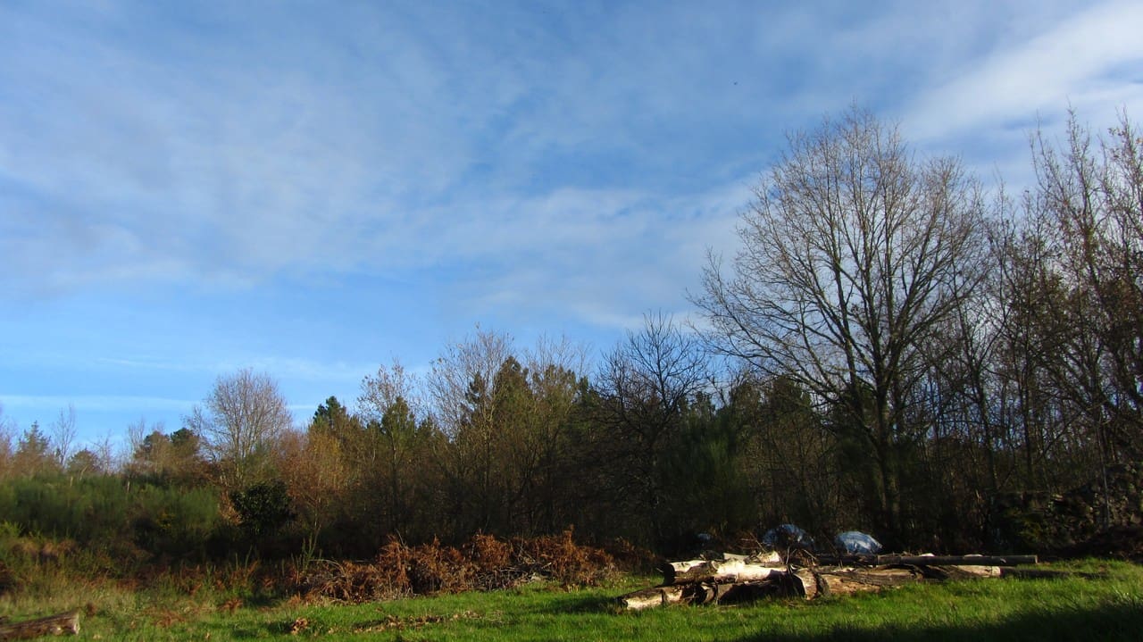 Finca/Country House for sale in Sober - € 23,000 (Ref: 7335695)