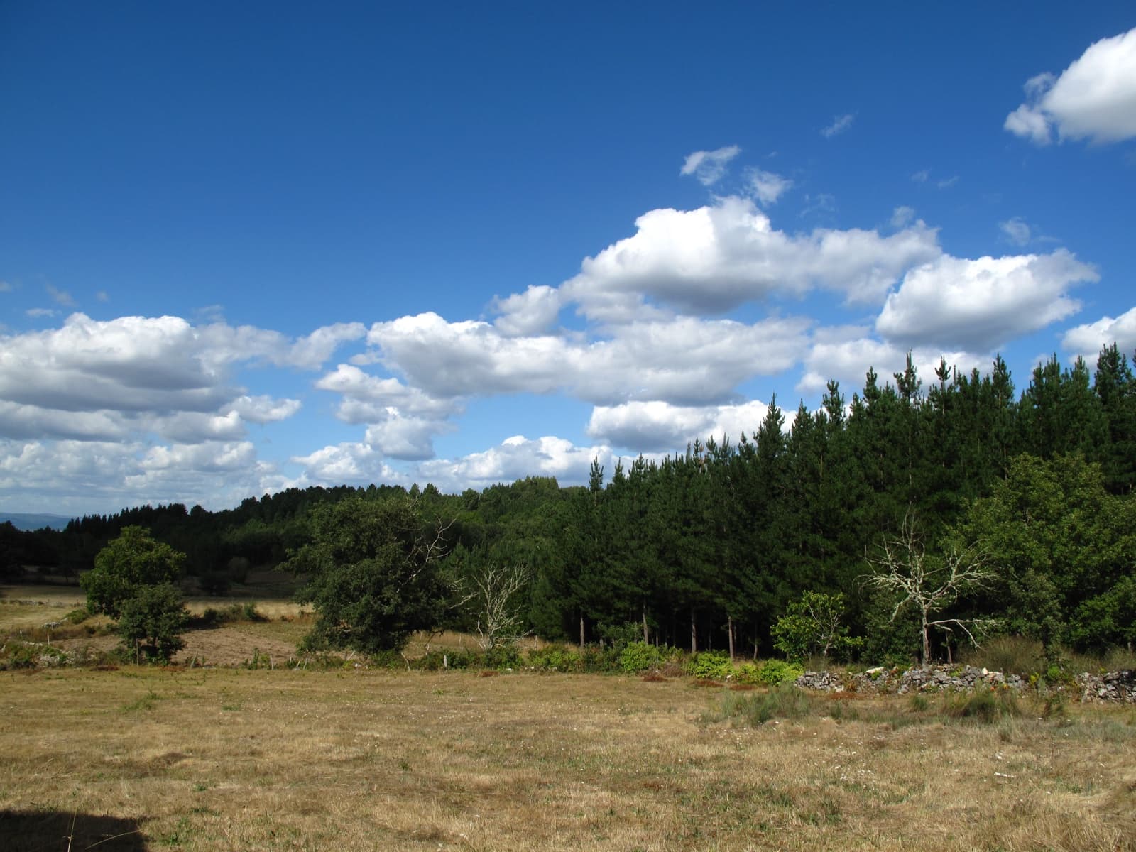 Finca/Landhuis te koop in Sober - € 26.000 (Ref: 7439050)