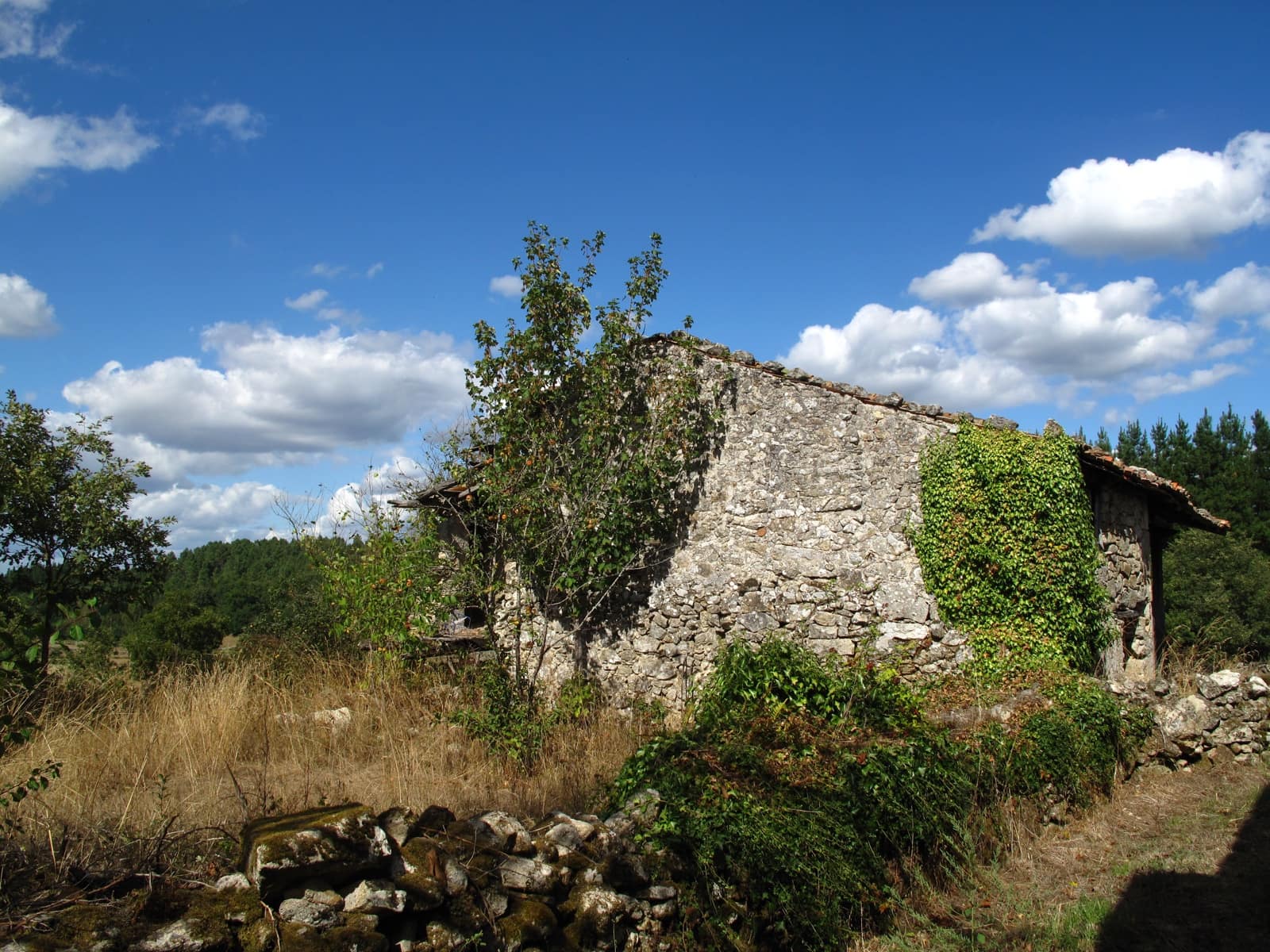 Finca/Landhuis te koop in Sober - € 26.000 (Ref: 7439050)