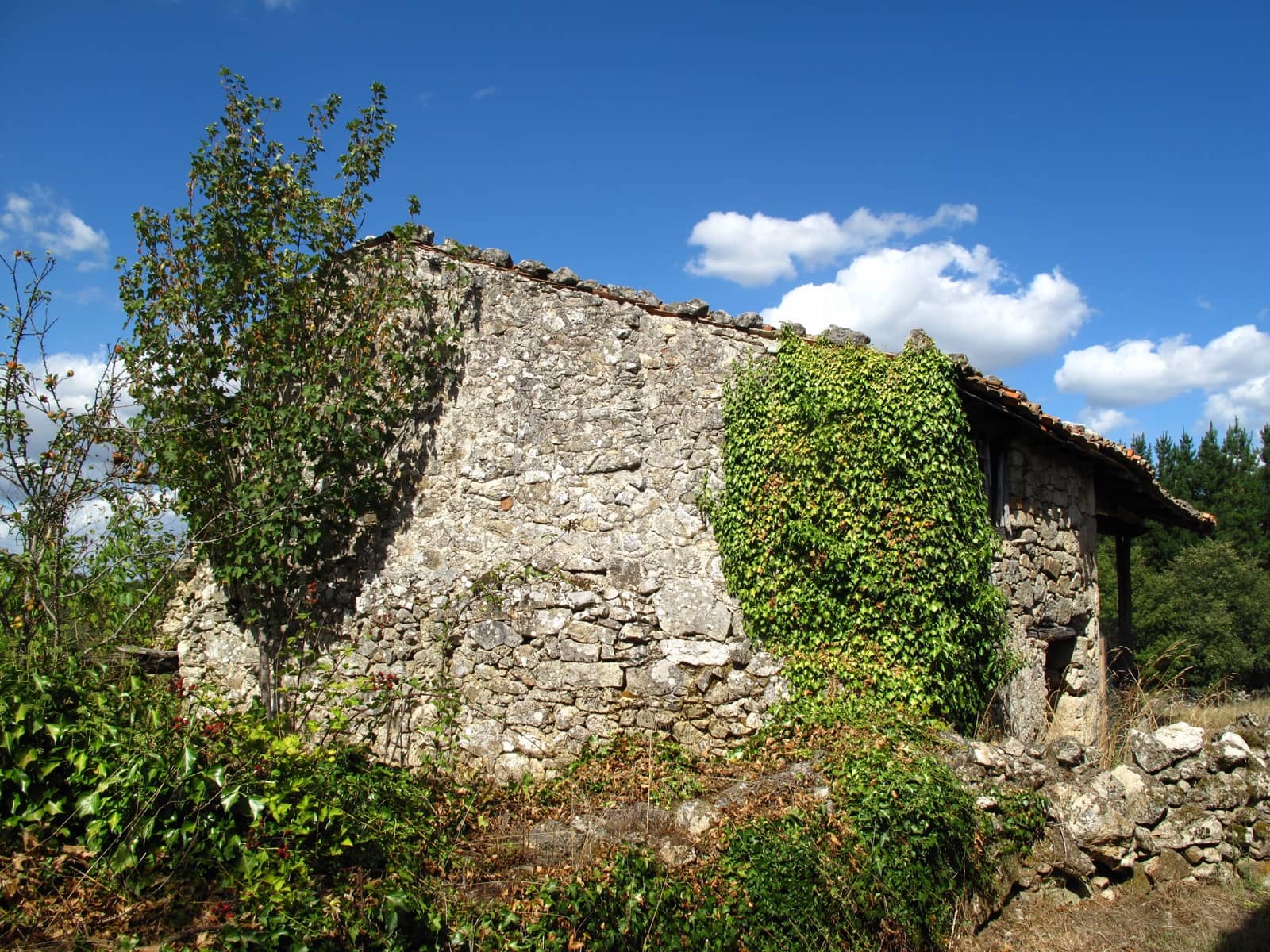 Finca/Landhuis te koop in Sober - € 26.000 (Ref: 7439050)