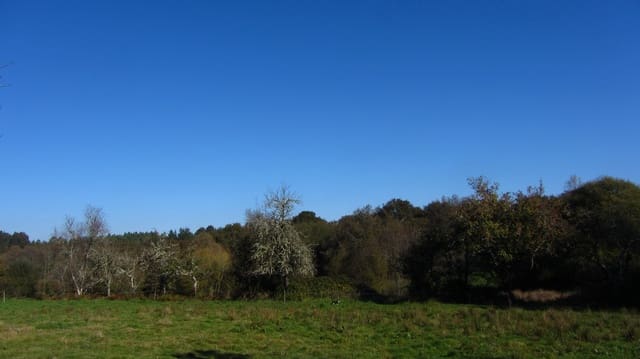 4 makuuhuone Maalaistalo myytävänä paikassa Monterroso mukana 
autotalli - 193 000 € (Ref: 7734765)