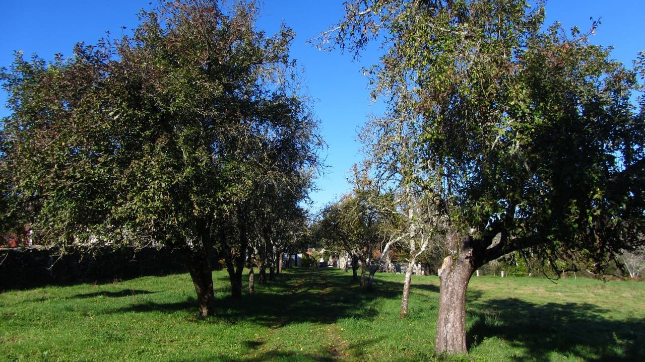 4 soveværelse Finca/Landehus til salg i Monterroso med garage - € 193.000 (Ref: 7734765)