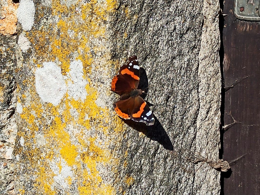 4 soveværelse Finca/Landehus til salg i Monterroso med garage - € 193.000 (Ref: 7734765)