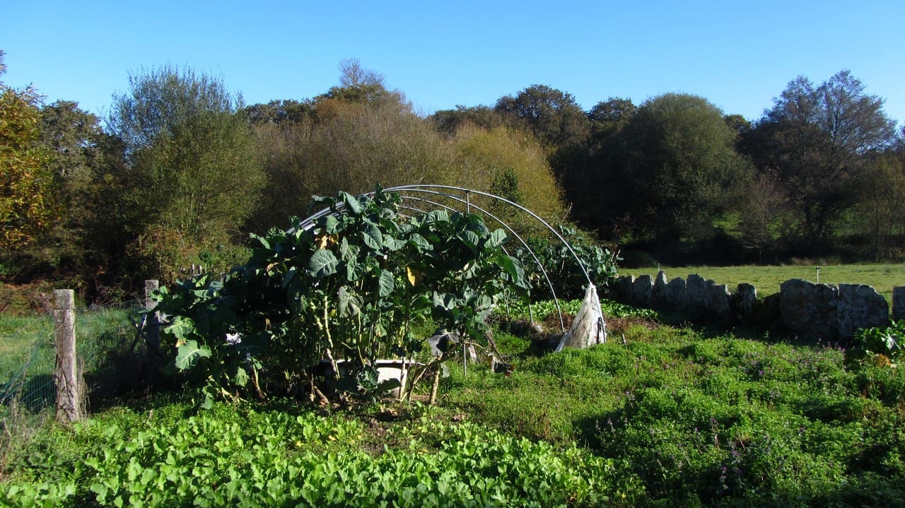 4 soveværelse Finca/Landehus til salg i Monterroso med garage - € 193.000 (Ref: 7734765)