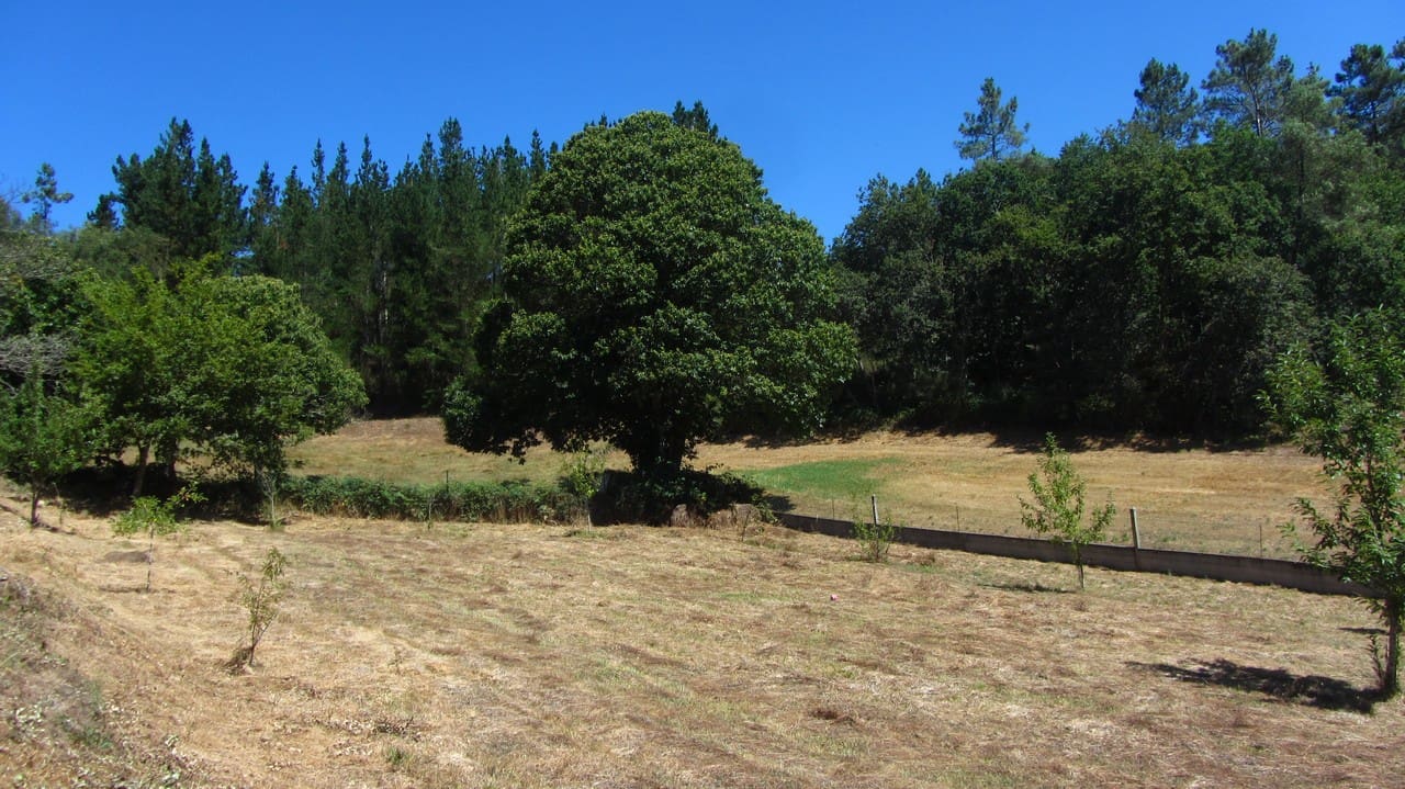 5 soveværelse Finca/Landehus til salg i O Savinao med garage - € 120.000 (Ref: 7822638)