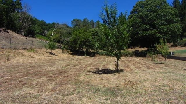 5 sypialnia Finka/Dom wiejski na sprzedaż w O Saviñao z garażem - 120 000 € (Ref: 7822638)