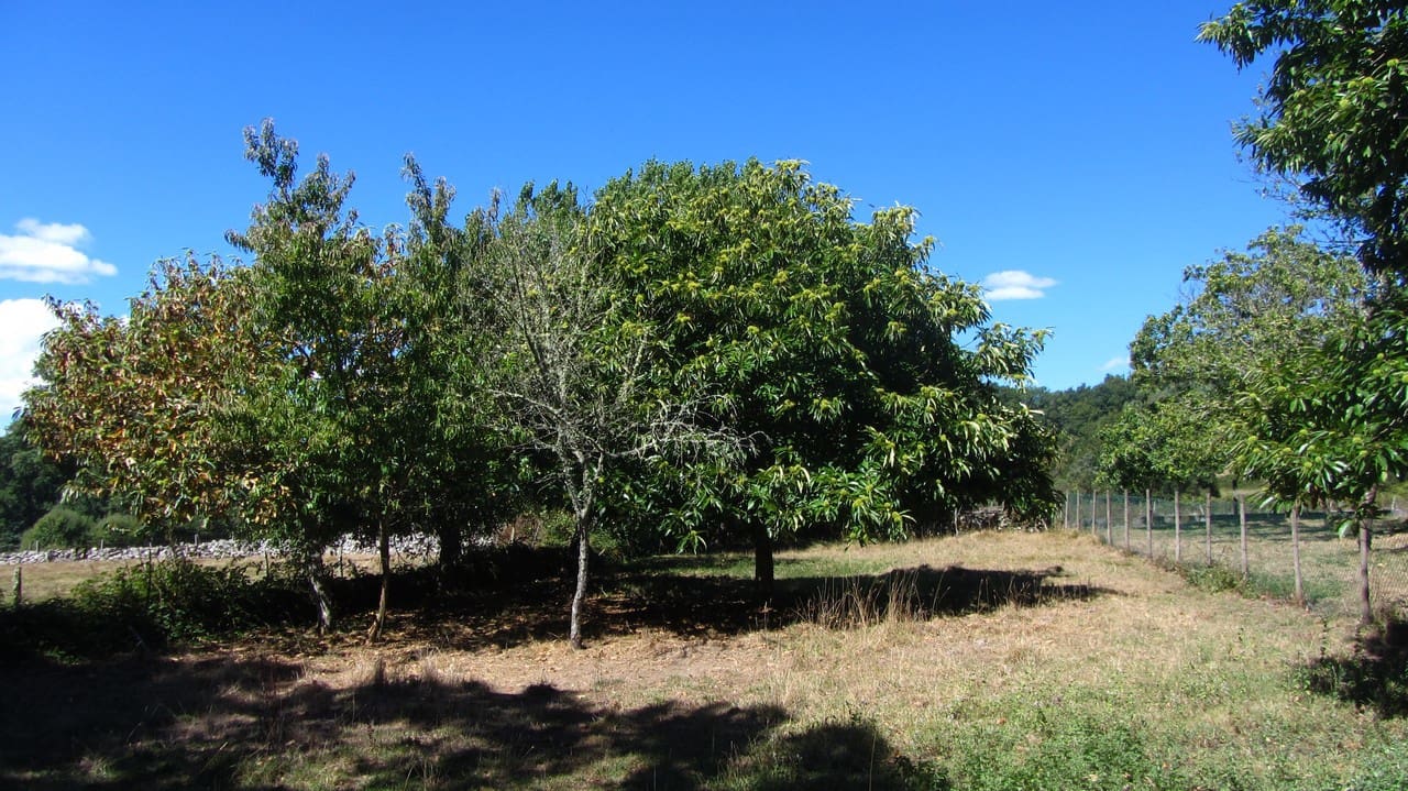 2 soveværelse Finca/Landehus til salg i O Savinao - € 32.000 (Ref: 7848098)