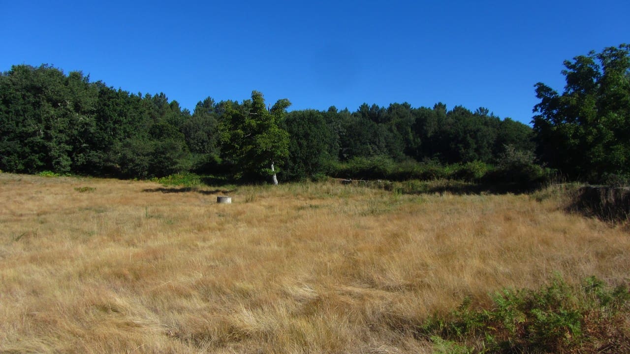 4 soveværelse Finca/Landehus til salg i Panton med garage - € 85.000 (Ref: 7875478)