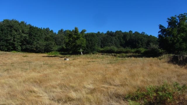 4 sovrum Finca/Hus på landet till salu i Pantón med garage - 85 000 € (Ref: 7875478)