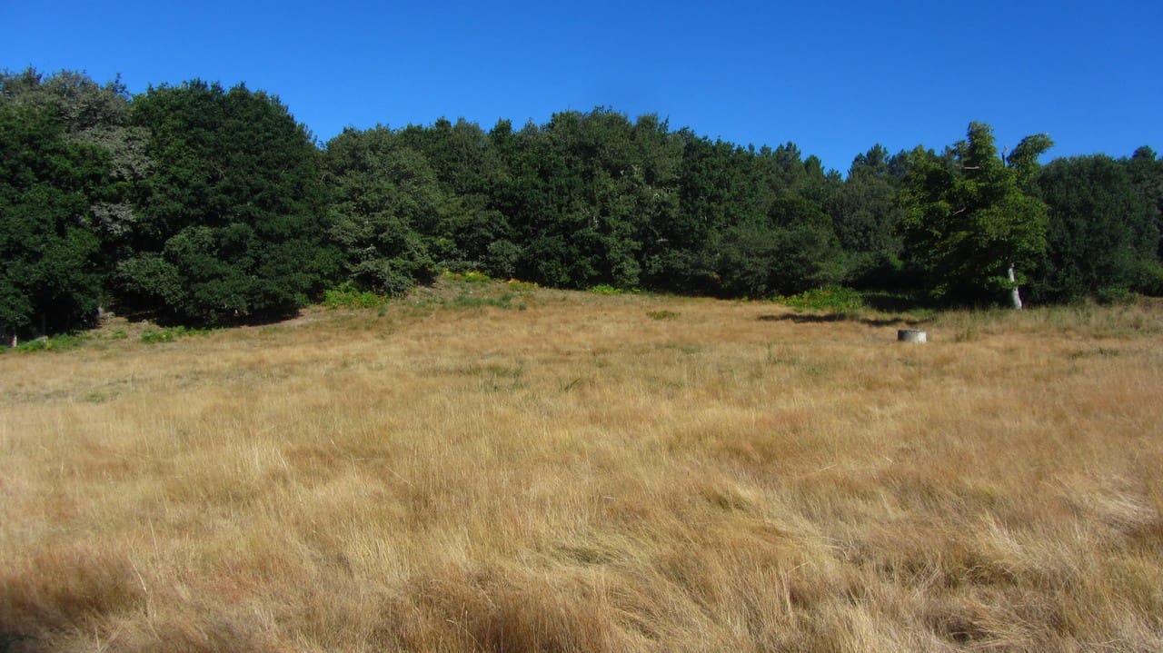 4 soveværelse Finca/Landehus til salg i Panton med garage - € 85.000 (Ref: 7875478)