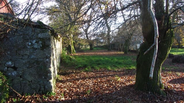 4 bedroom Finca/Country House for sale in O Saviñao with garage - € 55,000 (Ref: 7950231)