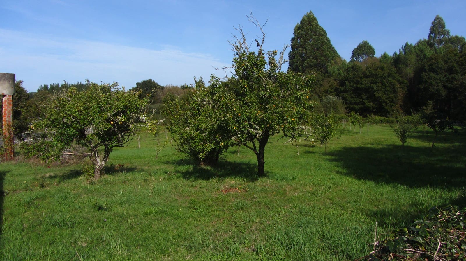 Finka/Dom wiejski na sprzedaż w Monterroso z garażem - 65 000 € (Ref: 8008955)