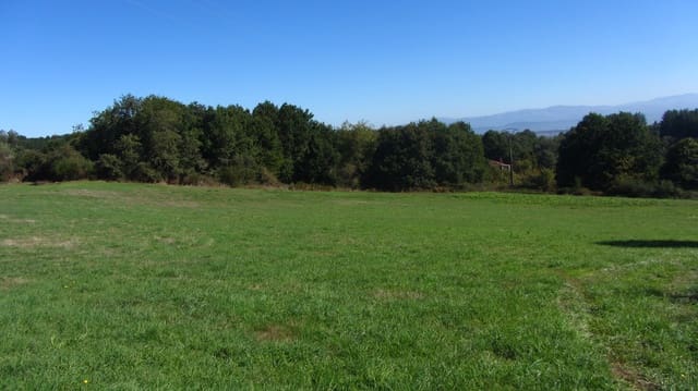 11 sypialnia Finka/Dom wiejski na sprzedaż w Pantón z garażem - 300 000 € (Ref: 8015022)