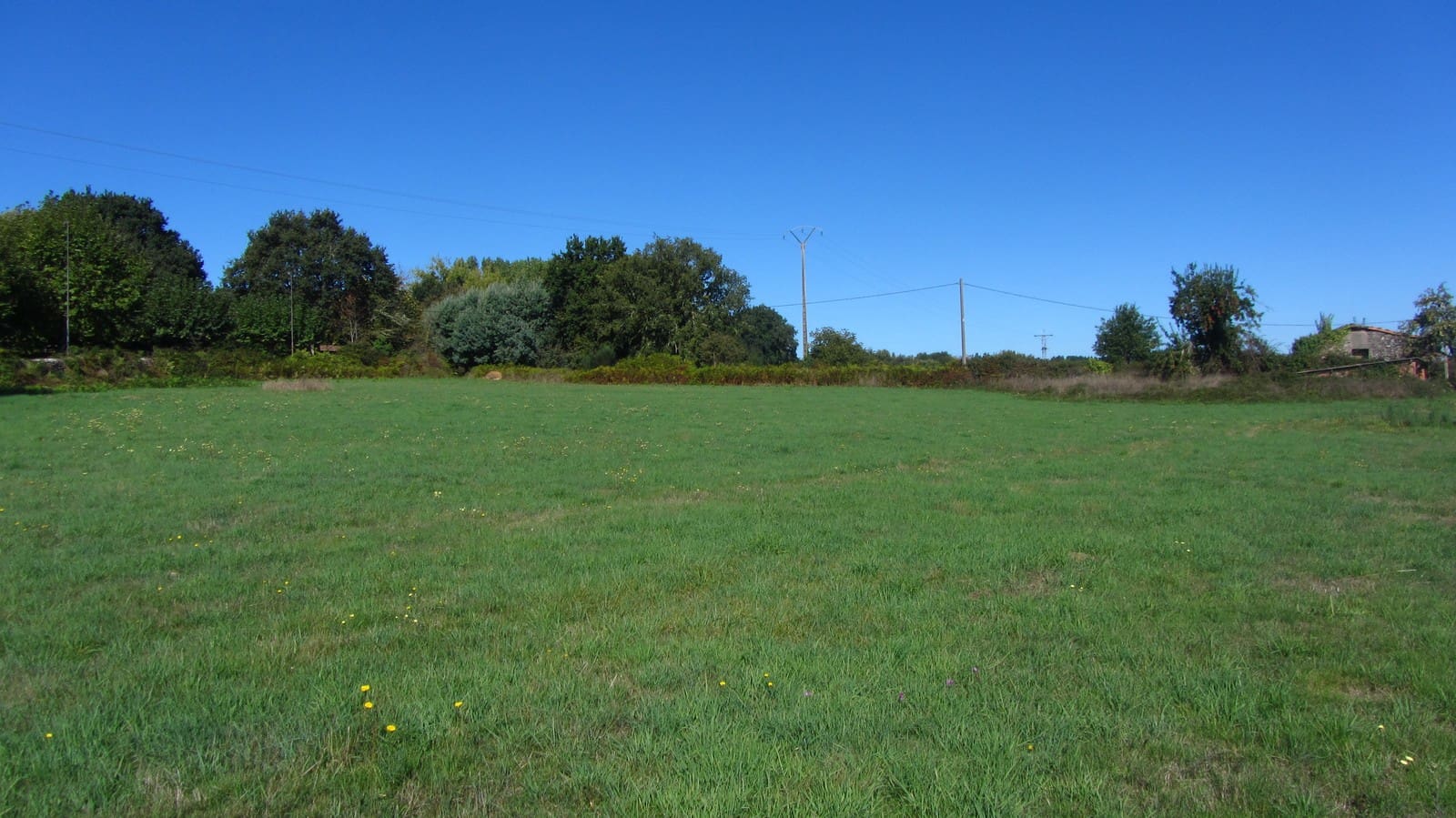 11 soveværelse Finca/Landehus til salg i Panton med garage - € 300.000 (Ref: 8015022)