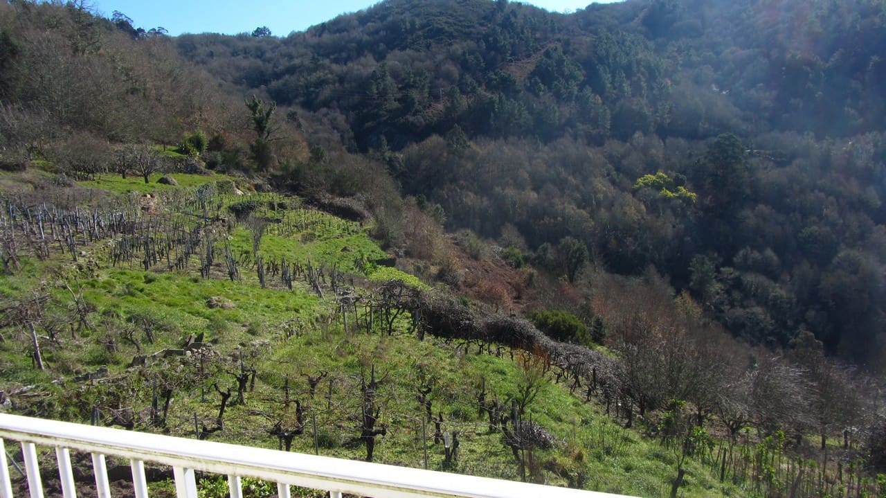 5 soveværelse Finca/Landehus til salg i Panton med garage - € 65.000 (Ref: 8043825)