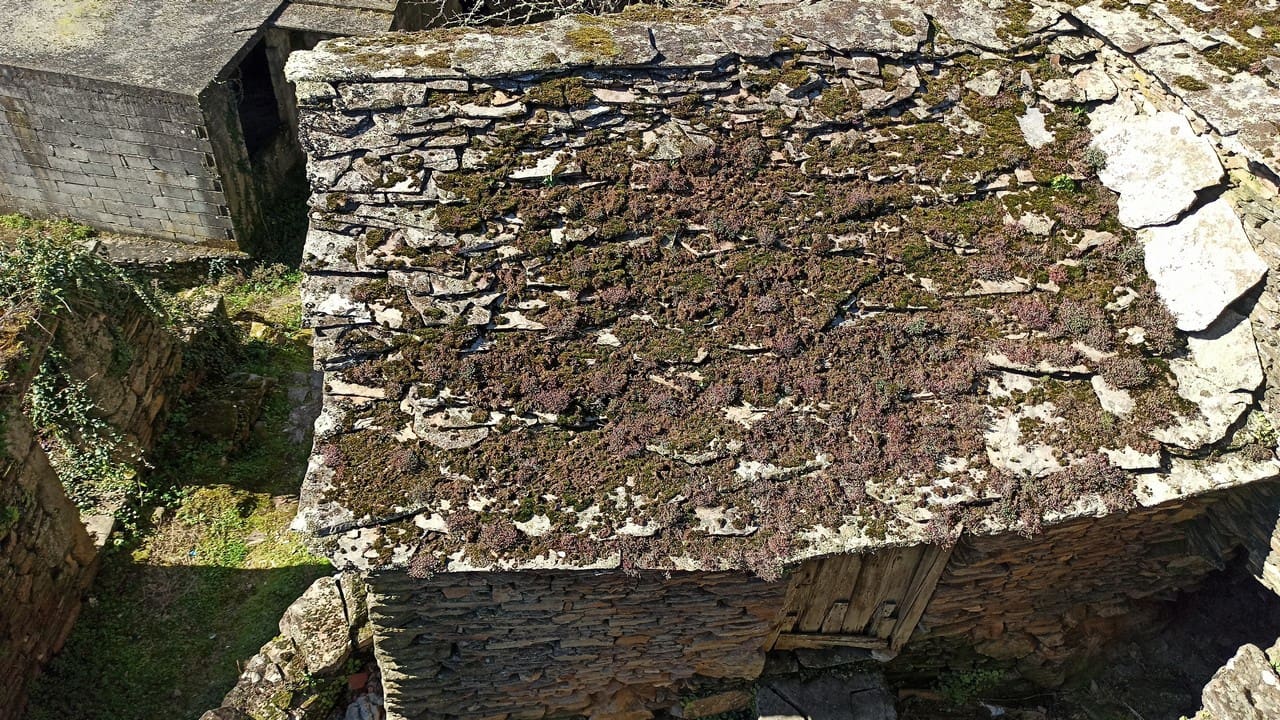 5 soveværelse Finca/Landehus til salg i Panton med garage - € 65.000 (Ref: 8043825)