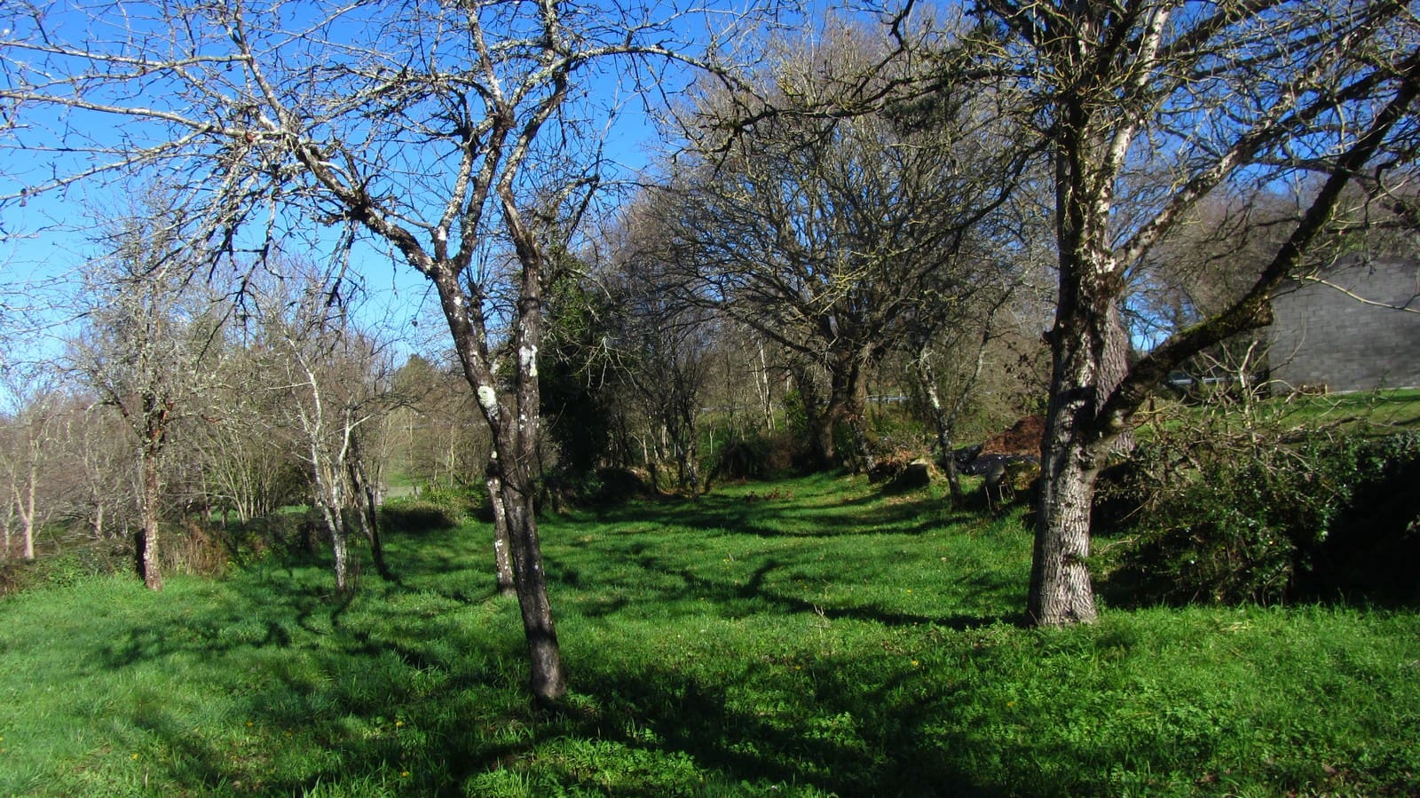 3 soveværelse Finca/Landehus til salg i Monterroso med garage - € 75.000 (Ref: 8093802)