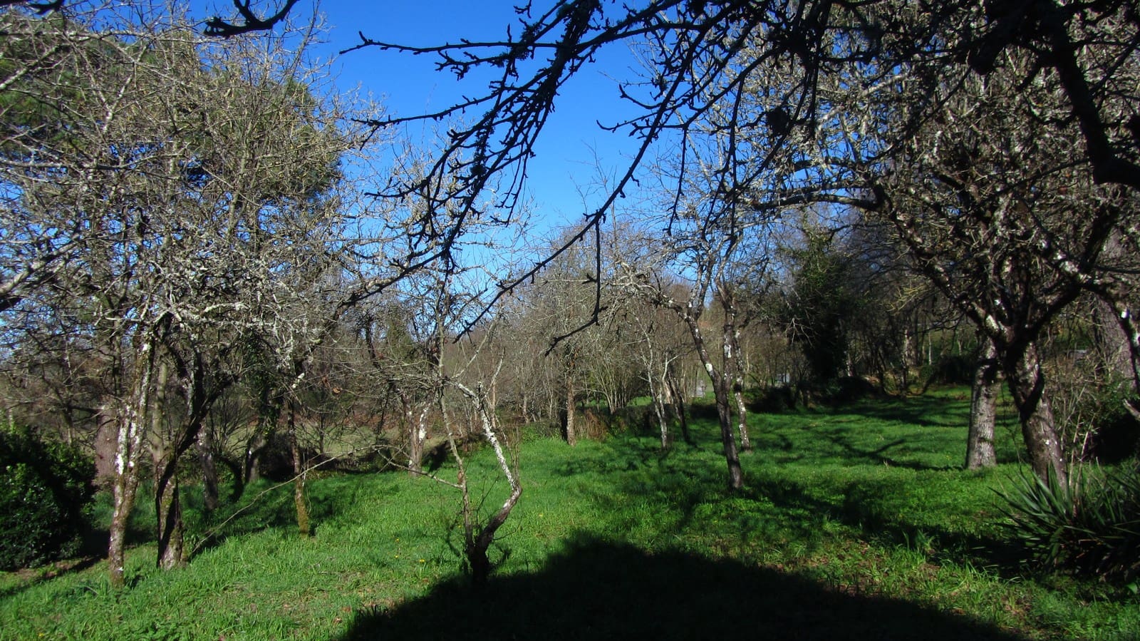 3 soveværelse Finca/Landehus til salg i Monterroso med garage - € 75.000 (Ref: 8093802)