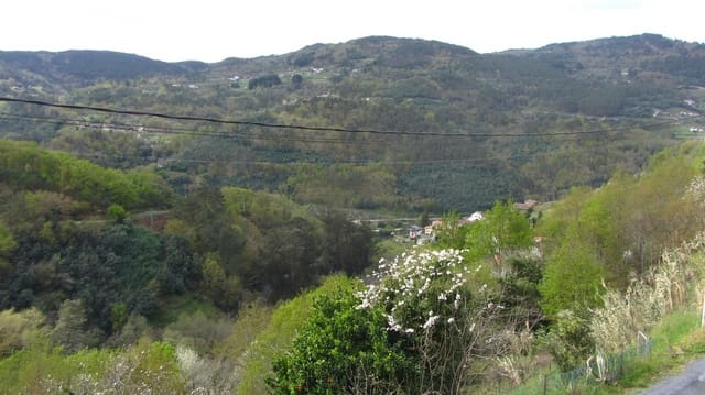 8 slaapkamer Finca/Landhuis te koop in Nogueira de Ramuín met garage - € 120.000 (Ref: 8194378)