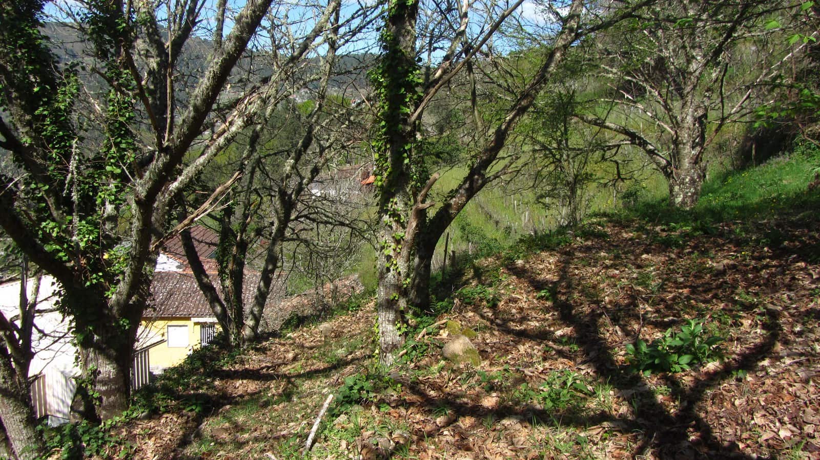 8 soveværelse Finca/Landehus til salg i Nogueira de Ramuin med garage - € 120.000 (Ref: 8194378)