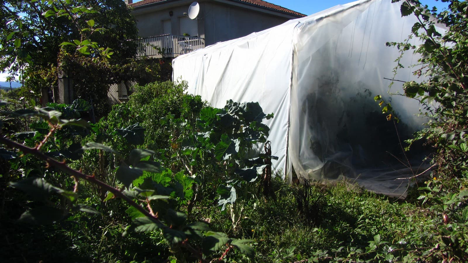 4 soveværelse Finca/Landehus til salg i Monforte de Lemos med garage - € 97.000 (Ref: 8205588)