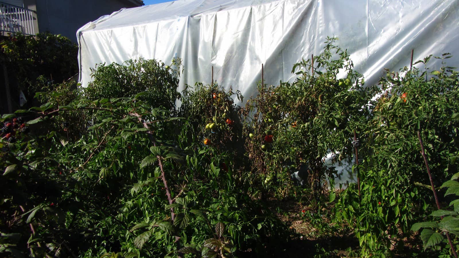 4 soveværelse Finca/Landehus til salg i Monforte de Lemos med garage - € 97.000 (Ref: 8205588)