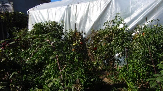 4 bedroom Finca/Country House for sale in Monforte de Lemos with garage - € 97,000 (Ref: 8205588)