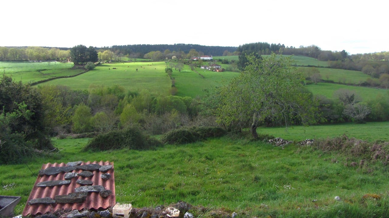 3 soveværelse Finca/Landehus til salg i O Savinao med garage - € 68.000 (Ref: 8267334)